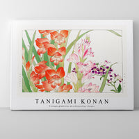 Tanigami Konan - Vintage gladiolus & schizanthus flower