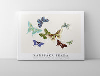 
              Kamisaka Sekka - Japanese butterfly (One Thousand Butterflies) - 1904 (7)
            