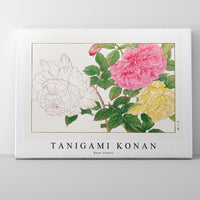 Tanigami Konan - Rose flower