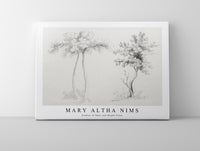 
              Mary Altha Nims - Studies of Upas and Maple Trees
            