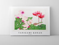 
              Tanigami Konan - Syclamen
            