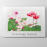 Tanigami Konan - Syclamen