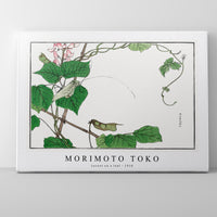 Morimoto Toko - Locust on a leaf illustration from Churui Gafu (1910)