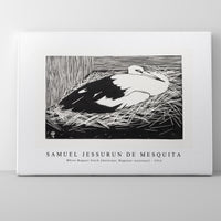 Samuel Jessurun De Mesquita - White Maguar Stork (Ooievaar, Magoear–ooievaar) (1914)