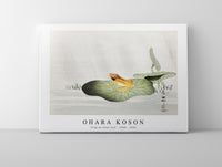 
              Ohara Koson - Frog on lotus leaf (1900 - 1930) by Ohara Koson (1877-1945)
            
