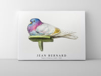 
              Jean Bernard - Pigeon sitting on a shelf (1802)
            