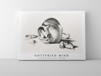 
              Gottfried Mind - cat and three newborn kittens by Gottfried Mind (1768-1814)
            