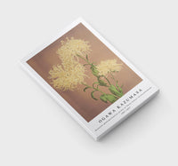 
              Ogawa Kazumasa - Beautiful photomechanical prints of Three Yellow Chrysanthemums (1887–1897)
            
