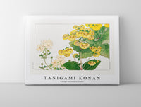 
              Tanigami Konan V intage calceolaria flower
            