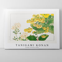 Tanigami Konan V intage calceolaria flower