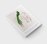 
              Charles Dessalines D'Orbigny - Pavonine quetzal (Pharomachrus pavoninus)
            