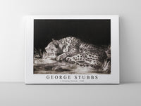 
              George Stubbs - A Sleeping Cheetah 1788
            