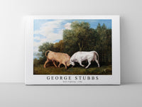 
              George Stubbs - Bulls Fighting 1786
            