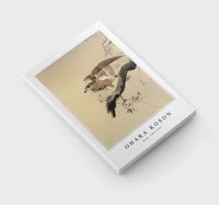 
              Ohara Koson - Hawk (1887-1945) by Ohara Koson (1877-1945)
            