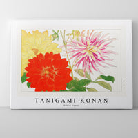 Tanigami Konan - Dahlia flower