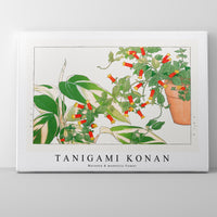 Tanigami Konan - Maranta & manettia flower