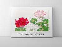 
              Tanigami Konan - Geranium flower
            