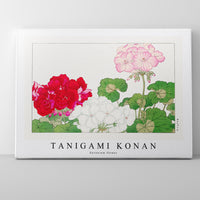 Tanigami Konan - Geranium flower