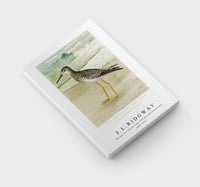 
              J L Ridgway -The Greater Yellow Legs (Totanus Melanoleucus) 1859-1947
            