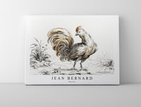 
              Jean Bernard - Rooster
            