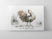 
              Jean Bernard - Rooster
            