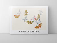 
              Kamisaka Sekka - Japanese butterfly (One Thousand Butterflies) - 1904 (13)
            
