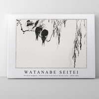 Watanabe Seitei - Perched magpies. Illustration from Seitei Kacho Gafu 1890-1891