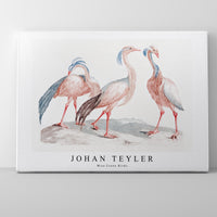 Johan Teyler - Miss Crane Birds