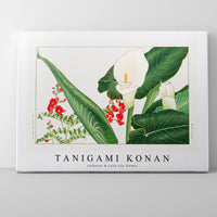 Tanigami Konan - Lathyrus & calla lily flower