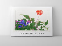 
              Tanigami Konan - Wildflower
            