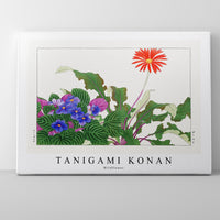 Tanigami Konan - Wildflower