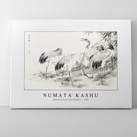 Numata Kashu - Japanese Crane and Bamboo illustration from Pictorial Monograph of Birds (1885)