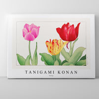 Tanigami Konan - Tulip