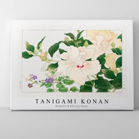 Tanigami Konan - Browallia & Hibiscus flower