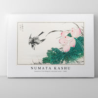 Numata Kashu - Japanese Pied Wagtail and Red Lotus illustration from Pictorial Monograph of Birds (1885)