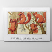 Maurice Pillard Verneuil - Écureuils from L'animal dans la décoration (1897)