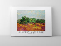 
              Vincent Van Gogh - Olive Trees 1889
            