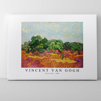 Vincent Van Gogh - Olive Trees 1889