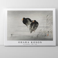 Ohara Koson - Two moorhens (1900 - 1930) by Ohara Koson (1877-1945)