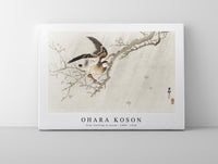 
              Ohara Koson - Gray starling in storm (1900 - 1910) by Ohara Koson (1877-1945)
            