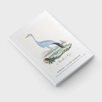 Robert Jacob Gordon - Anthropoides paradisea blue crane or Stanley crane (1777–1786)