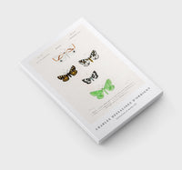 
              Charles Dessalines D'Orbigny - Collection of moths (3)
            
