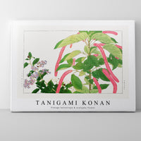 Tanigami Konan - Vintage heliotrope & acalypha flower