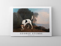 
              George Stubbs - Foxhound 1761
            