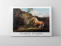 
              George Stubbs - Horse Frightened by a Lion 1762-1768
            