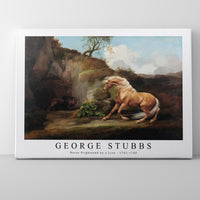 George Stubbs - Horse Frightened by a Lion 1762-1768