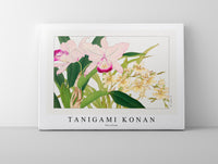 
              Tanigami Konan - Oncidium
            