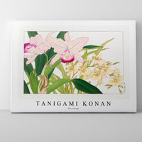 Tanigami Konan - Oncidium