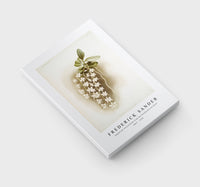 
              Frederick Sander - Angræcum articulatum from Reichenbachia Orchids-1847-1920
            