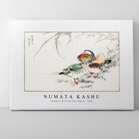 Numata Kashu - Mandarin Duck and Pearl Barley illustration from Pictorial Monograph of Birds (1885)